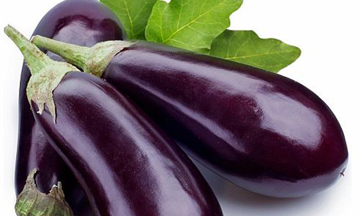 brinjal.jpg
