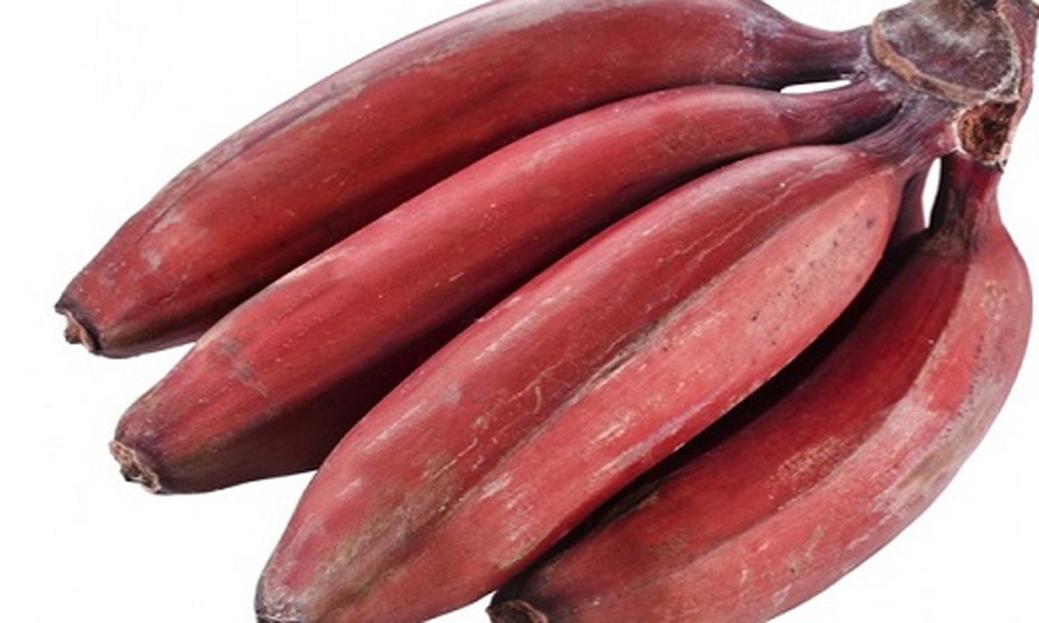 red-banana.jpg