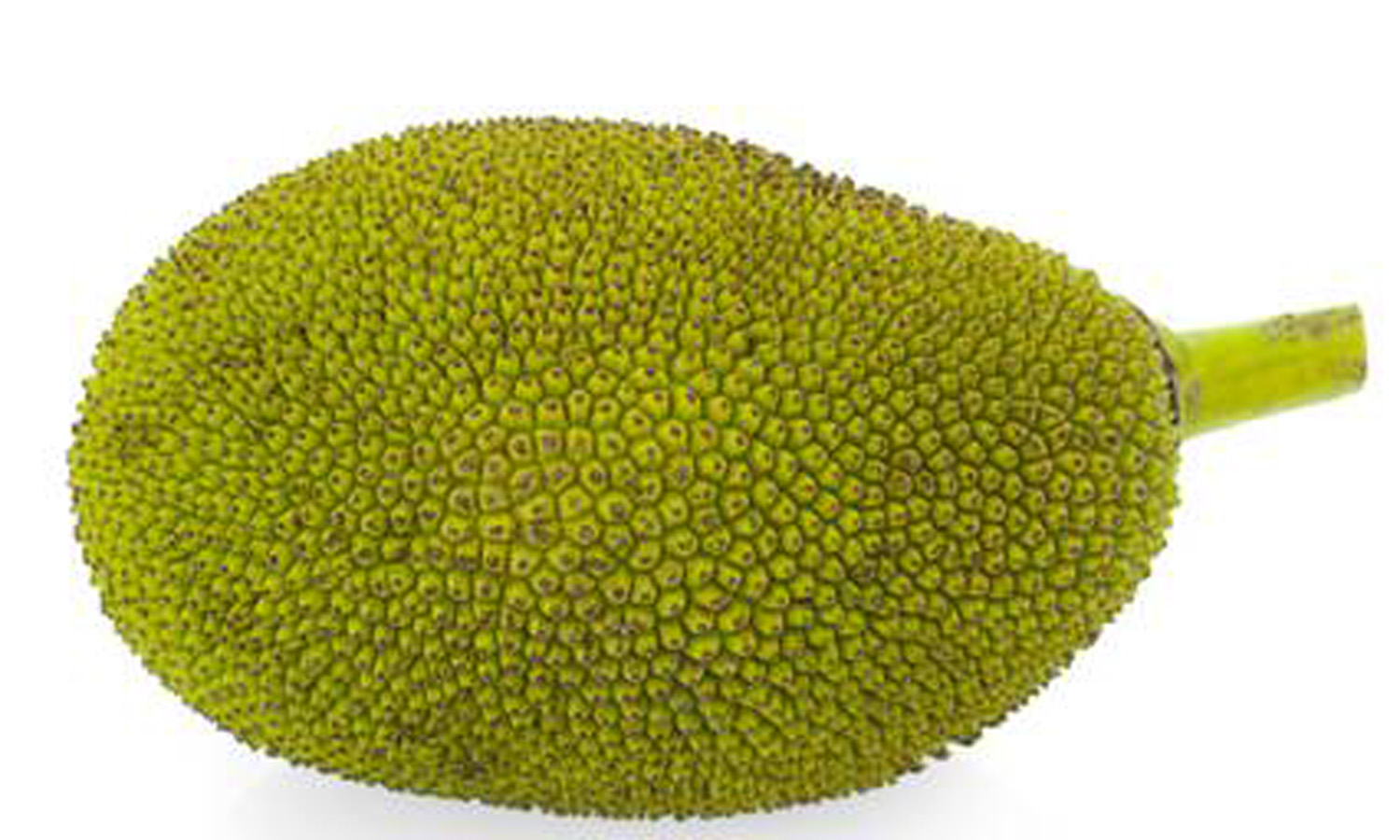 JACKFRUIT1.jpg