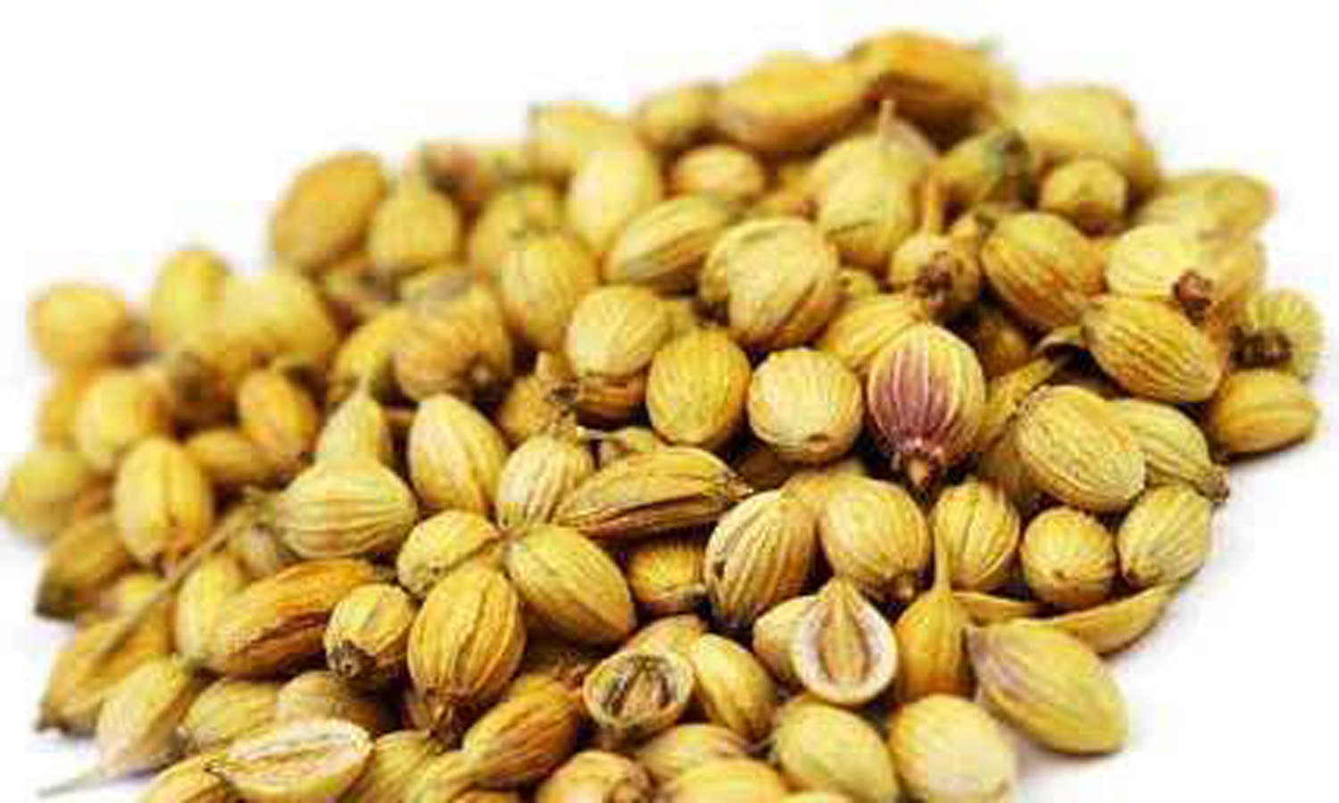 coriander-seed-oil-500x500.jpg