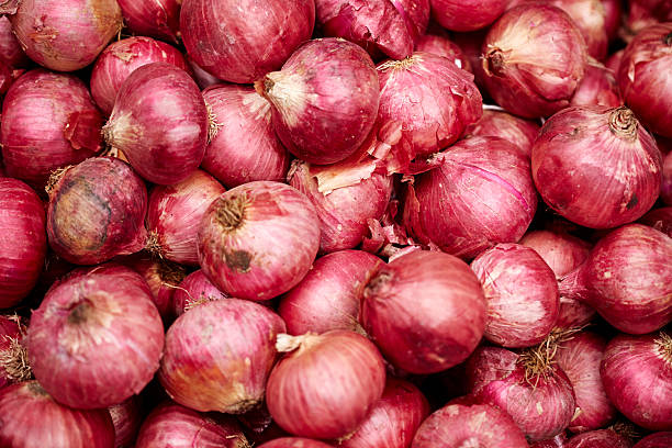 big-red-onion2.jpg